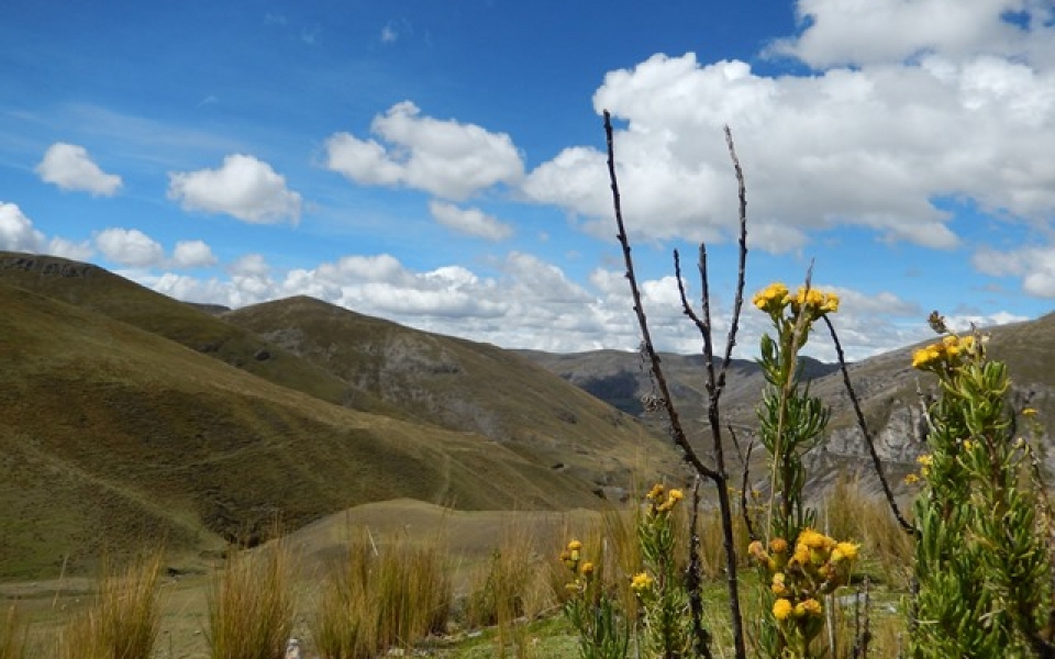 Peru Chachapoyas_und_Amazonas_29